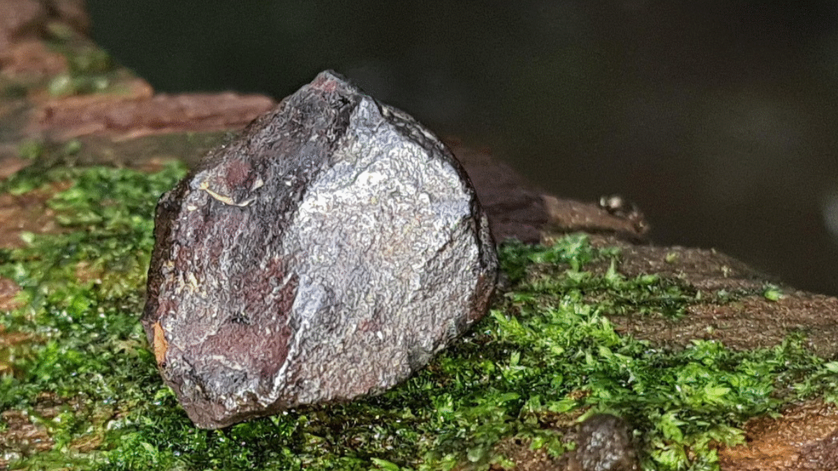 Garimpo ilegal se apropria das reservas de manganês do Brasil (Foto: Pixabay)