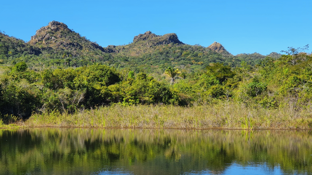 Em feito inédito, Goiás zera fila do licenciamento ambiental (Foto: Divulgação)