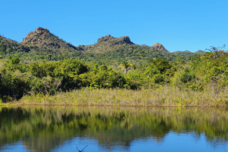 Em feito inédito, Goiás zera fila do licenciamento ambiental (Foto: Divulgação)