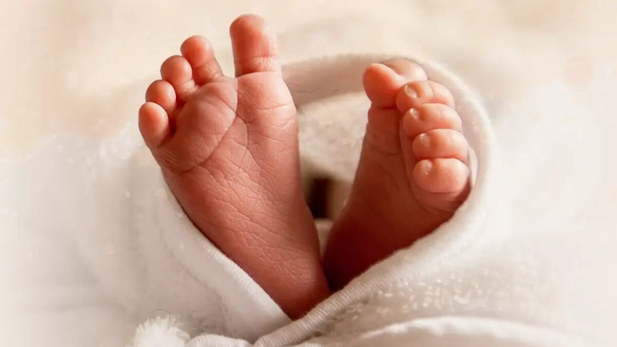 Veja quais são os sobrenomes mais populares no Brasil, segundo o IBGE Estudo faz parte da segunda edição do portal “Nomes do Brasil”