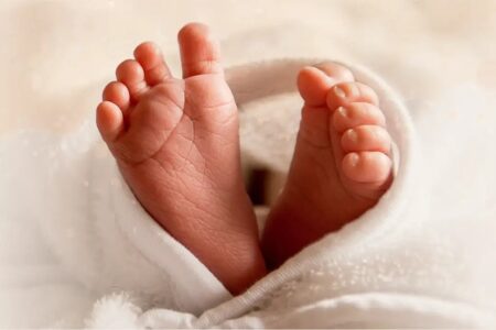 Veja quais são os sobrenomes mais populares no Brasil, segundo o IBGE Estudo faz parte da segunda edição do portal “Nomes do Brasil”