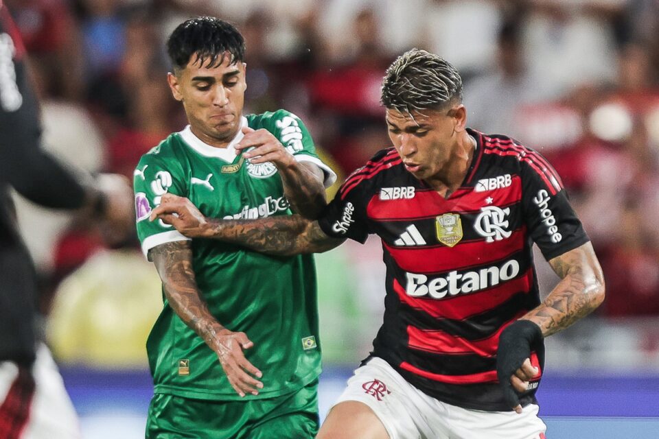 Partida entre Flamengo e Palmeiras
