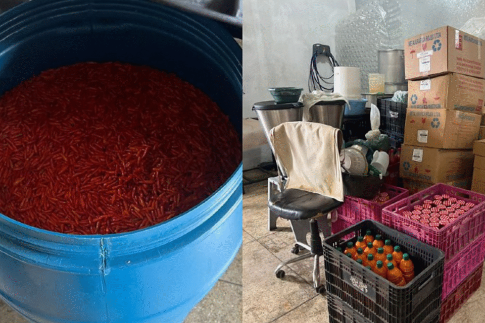 Operação fecha fábrica clandestina de fabricação de pequi e molhos de pimenta em Goiânia