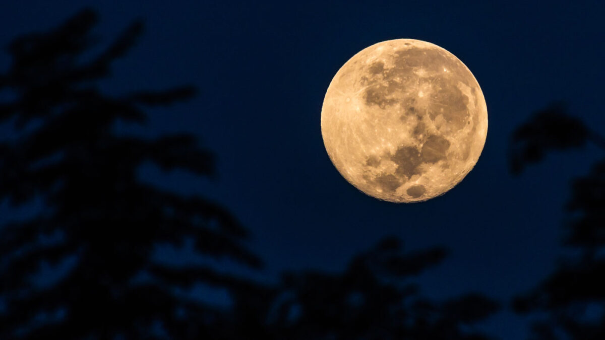 Lua do Castor poderá ser vista Brasil; saiba quando como observar Saiba por que a superlua tem esse nome, significado e quando será a próxima