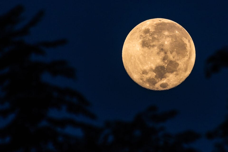 Lua do Castor poderá ser vista Brasil; saiba quando como observar Saiba por que a superlua tem esse nome, significado e quando será a próxima