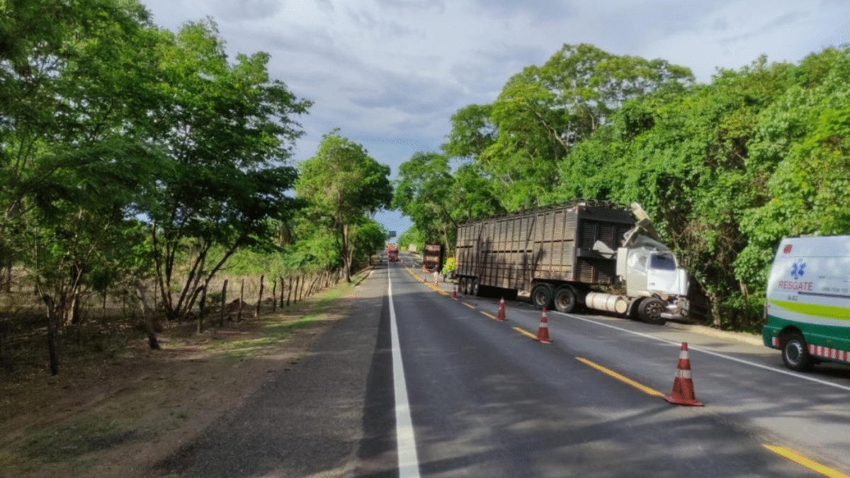 Motorista morre após colisão entre dos caminhões na BR-153 em Estrela do Norte (Foto: PRF)