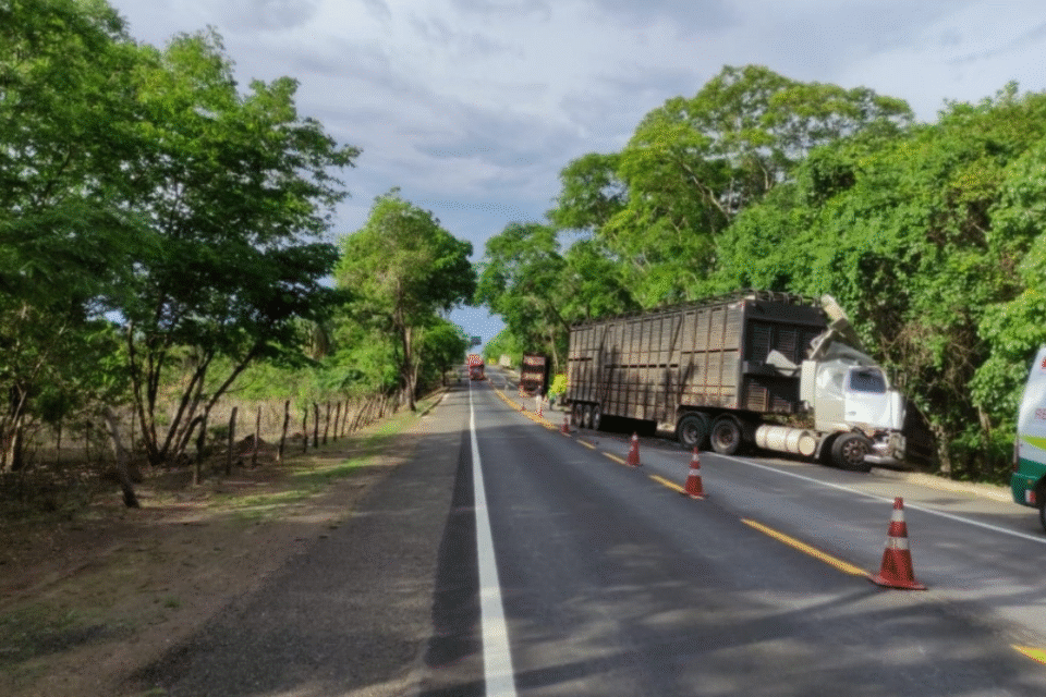 Motorista morre após colisão entre dos caminhões na BR-153 em Estrela do Norte