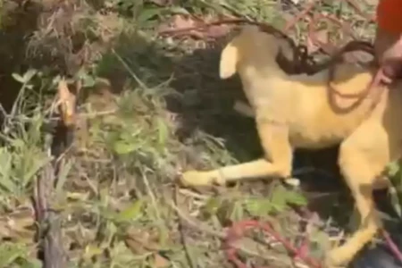 Design sem nome - 2025-11-11T112957.673