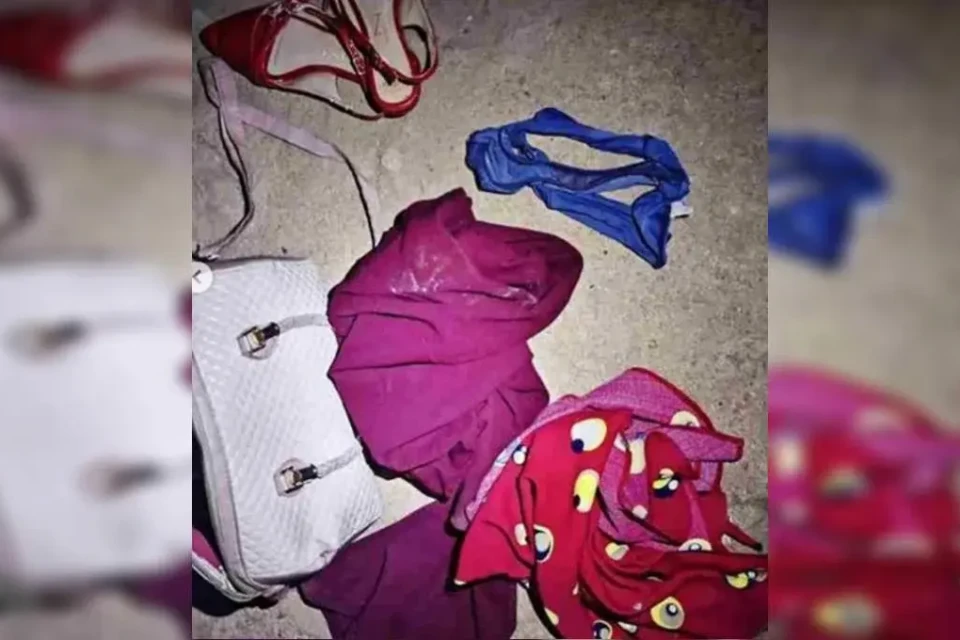 Design sem nome - 2025-11-12T113303.900