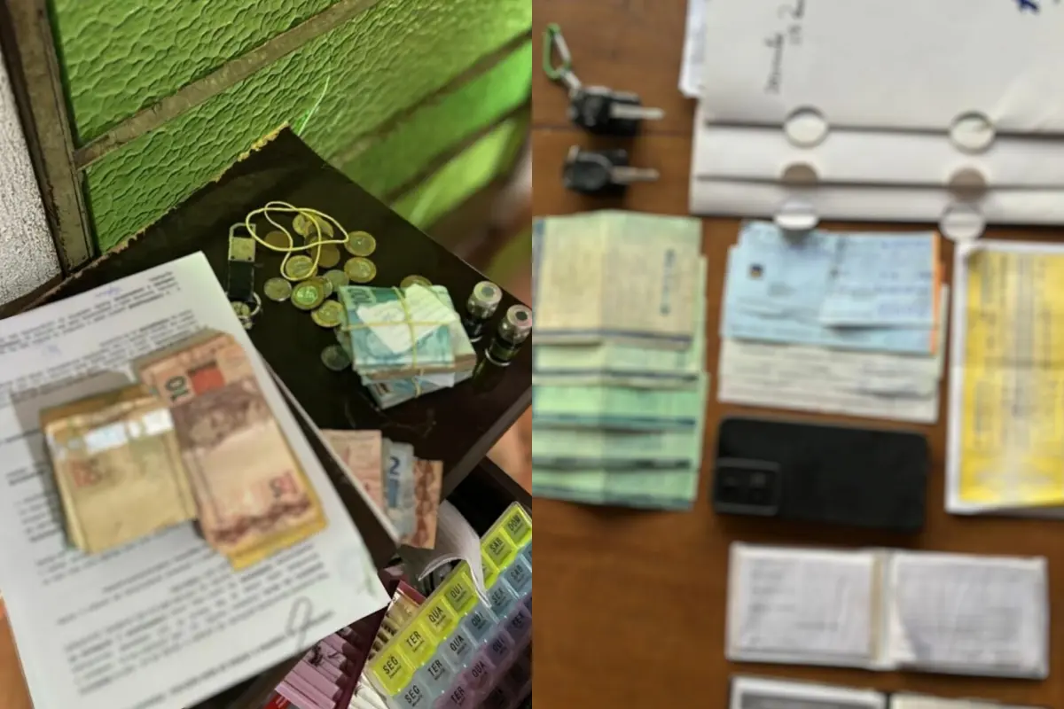 Imagem das apreensões