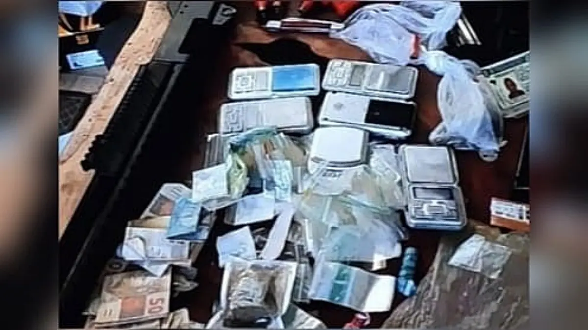 Imagem das apreensões