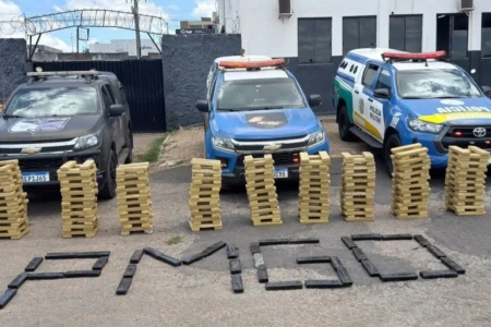 Imagem das apreensões