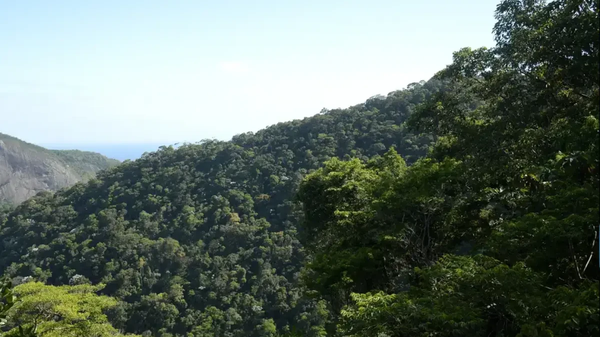 Maioria dos brasileiros pensa que meio ambiente pesará na eleição, diz pesquisa (Foto: Agência Brasil)