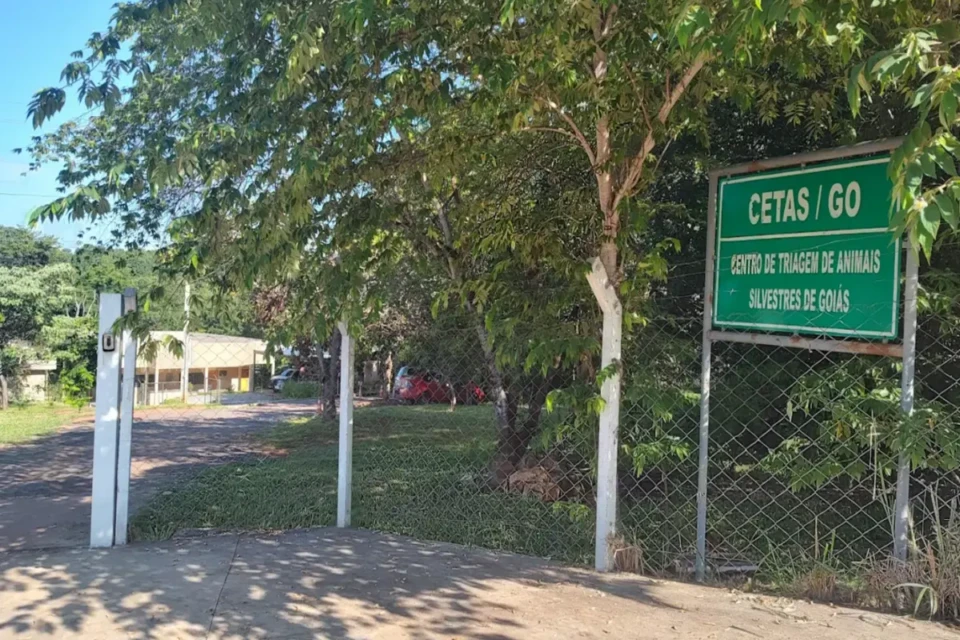 Captura de tela 2025-11-17 181719