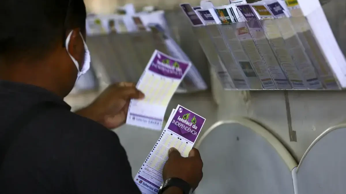 Concurso 3541 da Lotofácil: veja resultado e prêmios para Goiás (Foto: Agência Brasil)