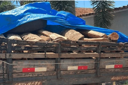 caminhao x madeira x capa