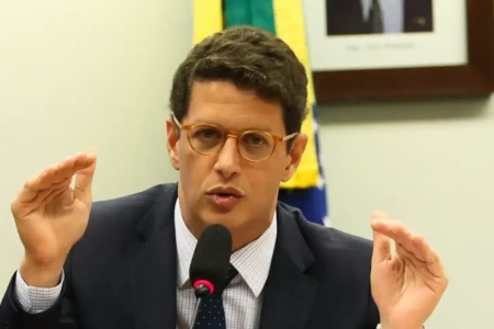 Moraes marca interrogatórios de Ricardo Salles e mais 21 acusados de crimes ambientais (Foto: Agência Brasil)