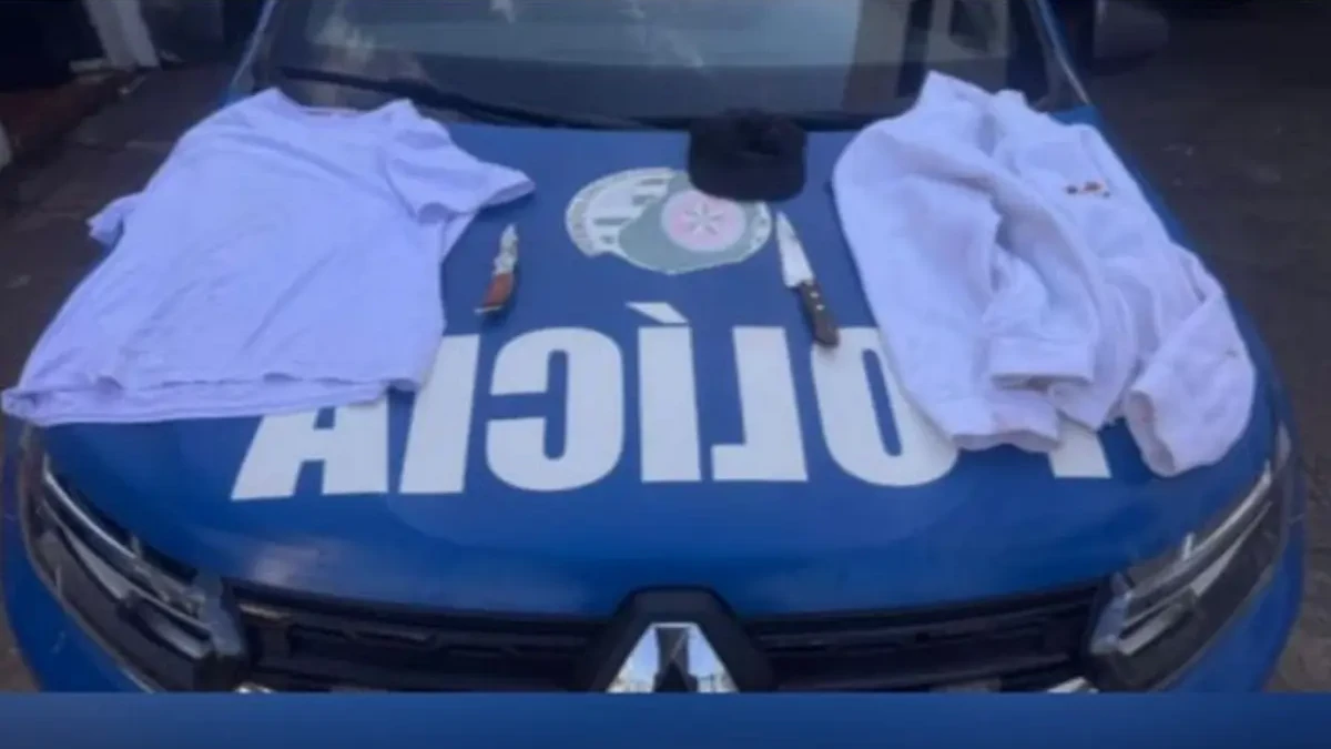 Facas apreendidas (Foto: Divulgação)