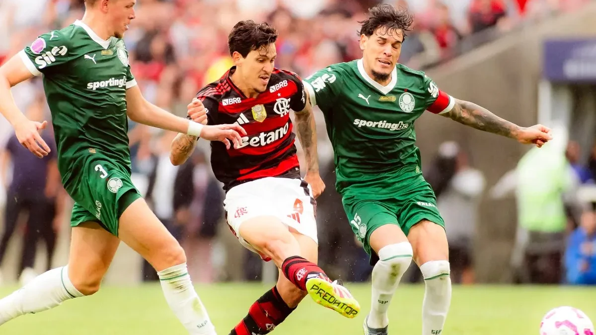 Flamengo e Palmeiras pelo Brasileirão
