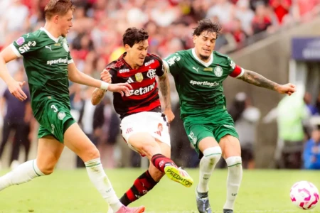 Flamengo e Palmeiras pelo Brasileirão