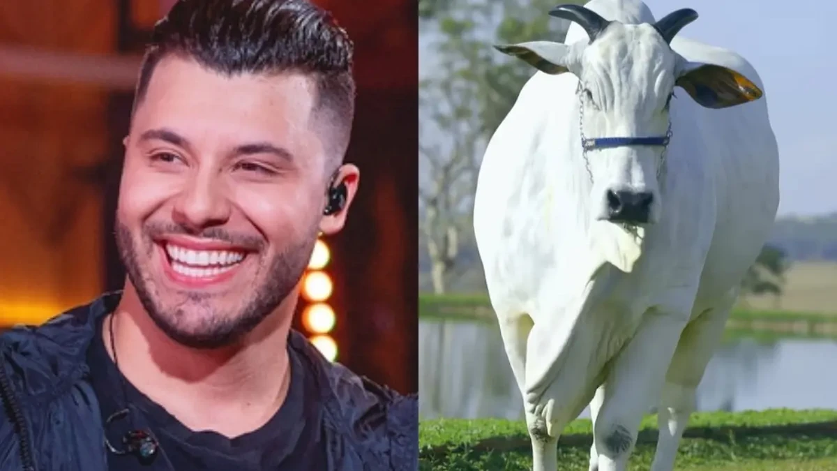 Murilo Huff rebate acusação sobre uso do dinheiro do filho após comprar a vaca mais cara do mundo: 'Trabalho'