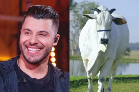 Murilo Huff rebate acusação sobre uso do dinheiro do filho após comprar a vaca mais cara do mundo: 'Trabalho'