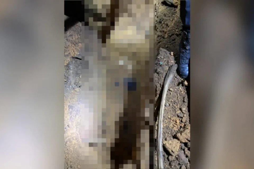 Imagem da localização do corpo