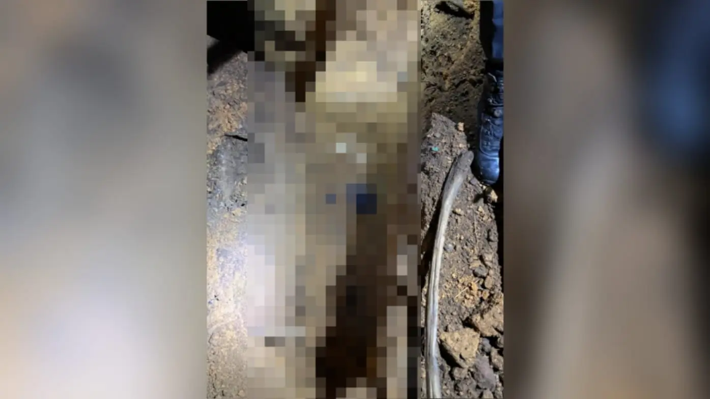 Imagem da localização do corpo