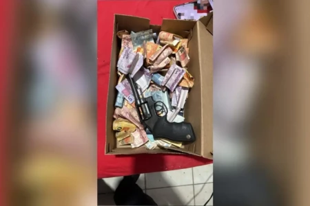 Imagem de parte do material apreendido