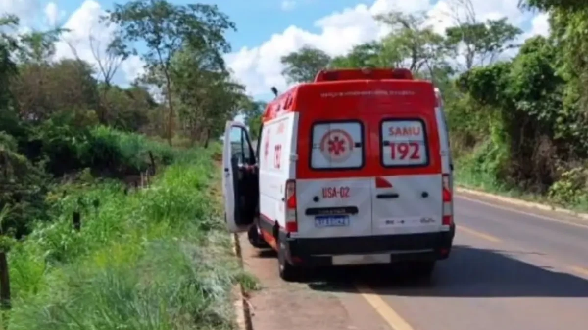 Motociclista morre após perder o controle e sair da pista na GO-330 (Foto: Reprodução)