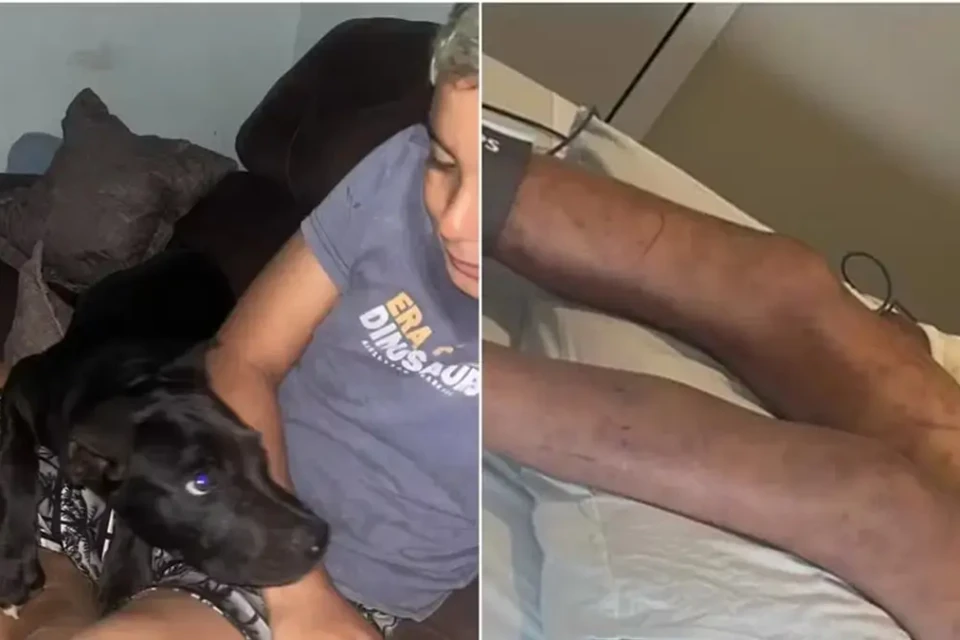 foto da criança e do cachorro da família