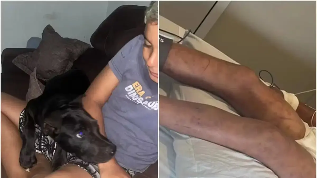 foto da criança e do cachorro da família