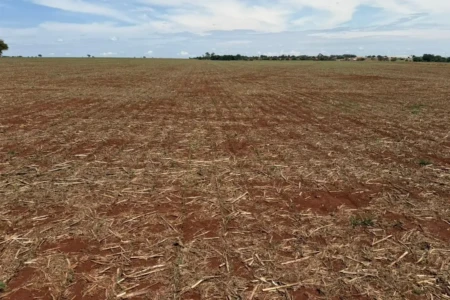 Imagem da produção completamente destruída