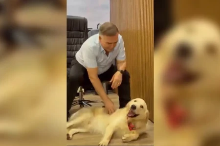 Mabel anuncia novo mascote da prefeitura de Goiânia: 'Biscoito'