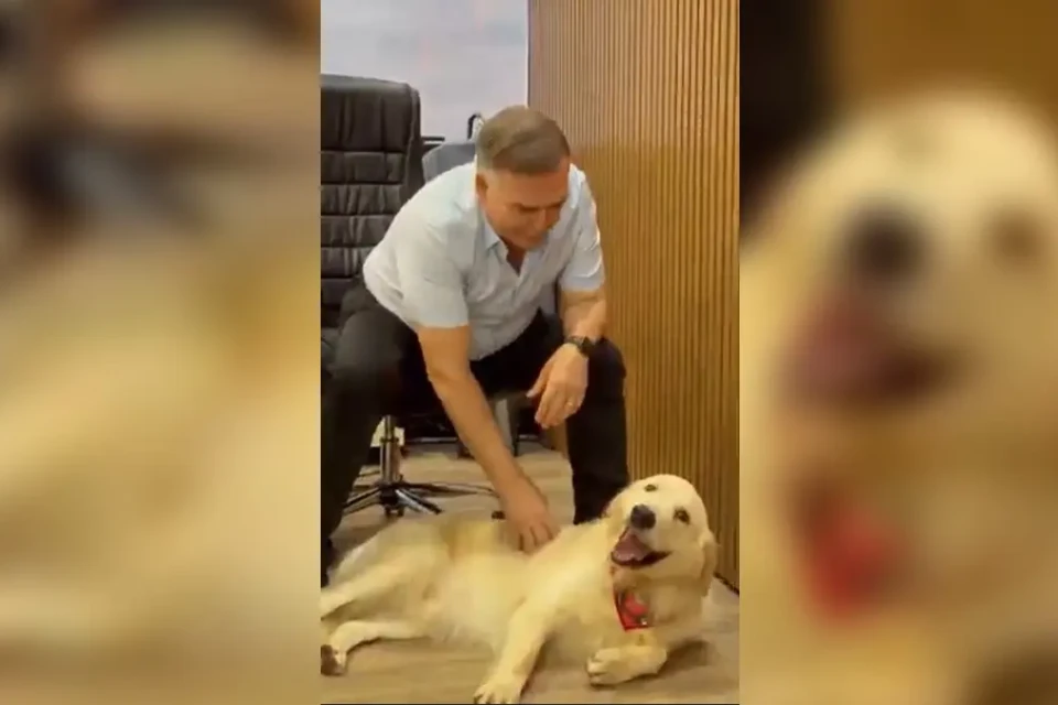 Mabel anuncia novo mascote da prefeitura de Goiânia: 'Biscoito'