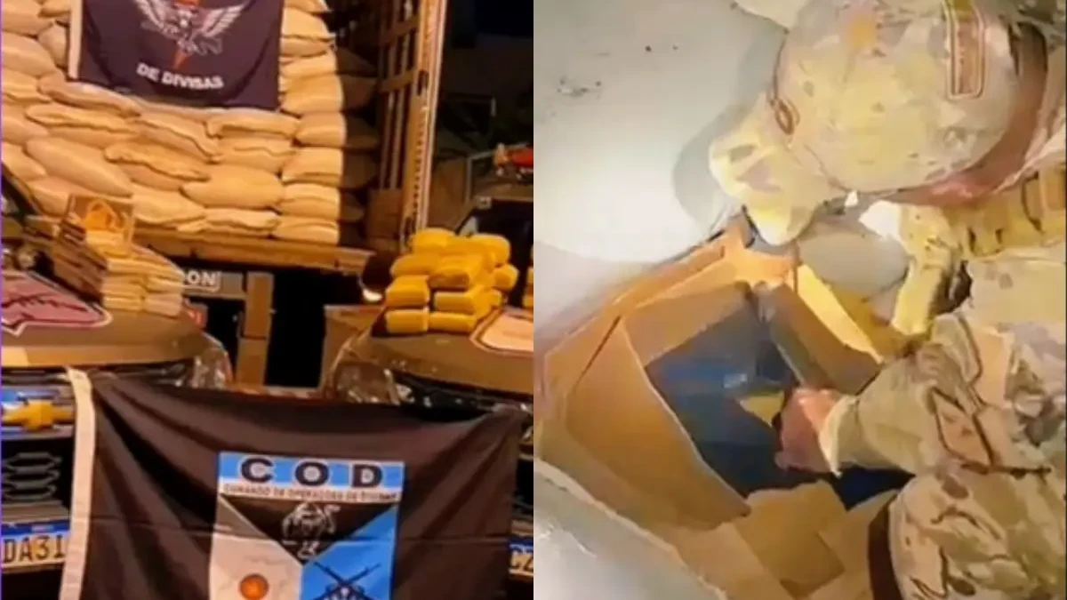 Imagem das apreensões