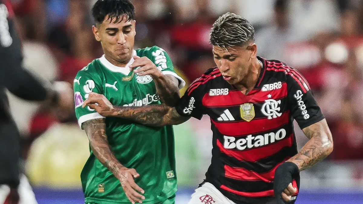 Partida entre Flamengo e Palmeiras
