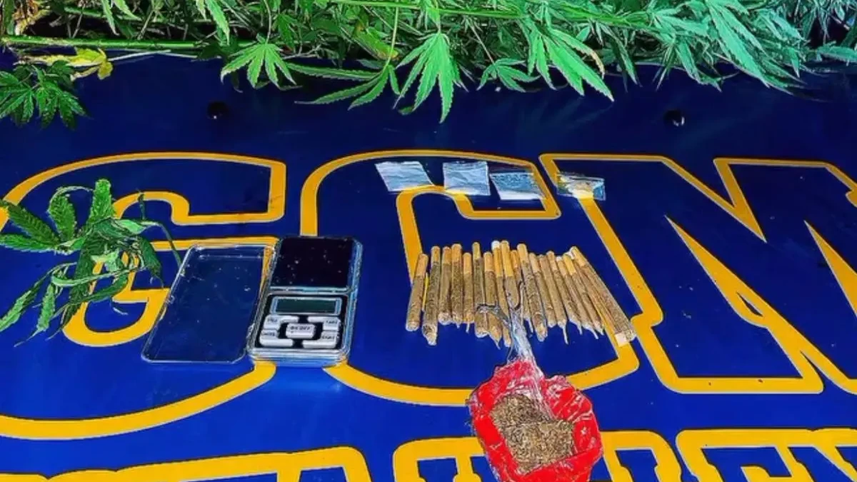 Imagem dos cigarros, ecstasy e balança apreendidos