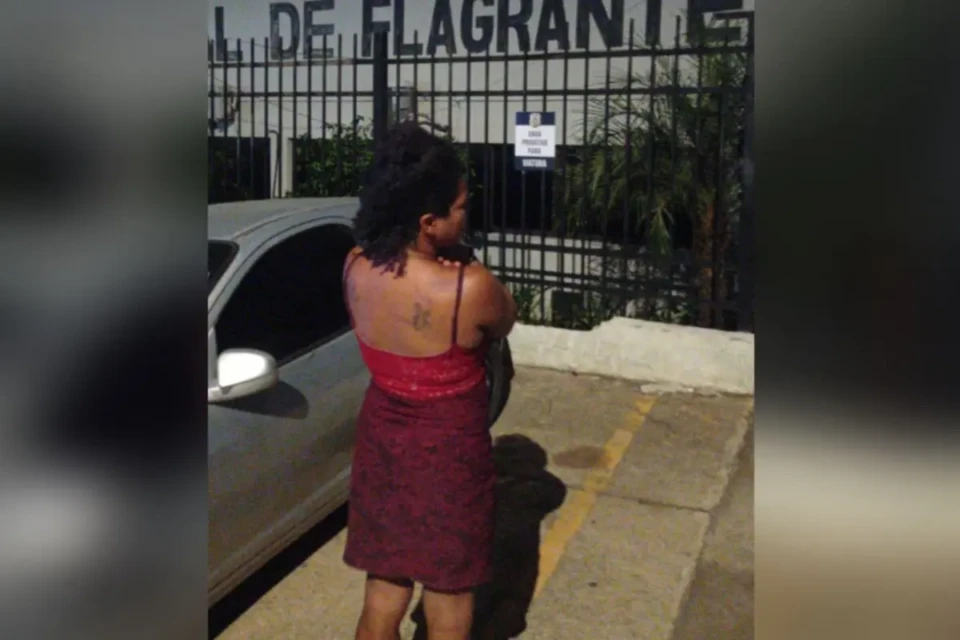 Captura de tela 2025-11-27 155747 (1)