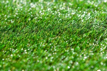 MP quer que Mabel remova toda grama sintética que 'plantou' em Goiânia (Foto: Pixabay)