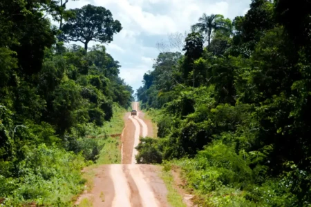 Último município de Goiás ligado por terra ganha acesso com asfalto em breve; saiba qual (Foto: Agência Brasil)