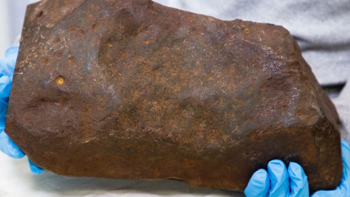 Australiano guarda rocha acreditando ter achado ouro, mas se surpreende com a verdade Explorador havia feito uma descoberta valiosa