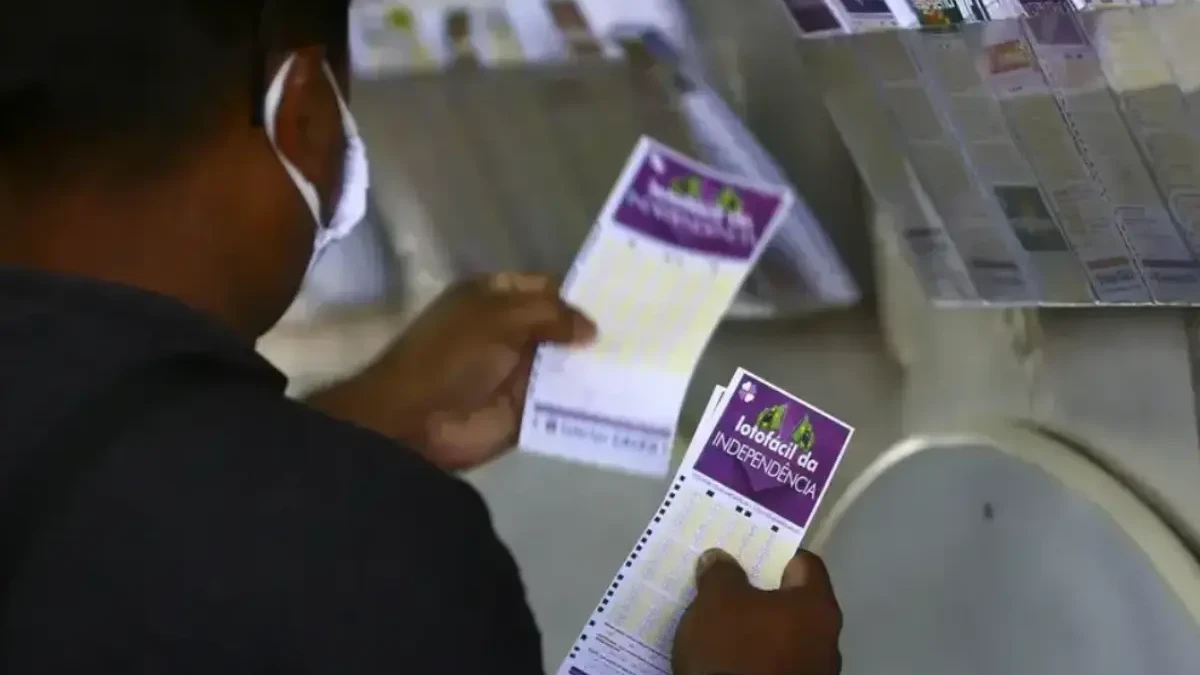 Concurso 3550 da Lotofácil: números sorteados e prêmios que saíram para Goiás (Foto: Agência Brasil)