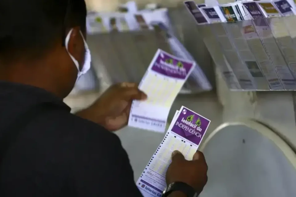 Concurso 3550 da Lotofácil: números sorteados e prêmios que saíram para Goiás (Foto: Agência Brasil)