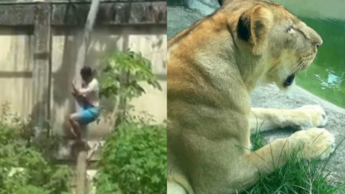 Design sem nome (18)