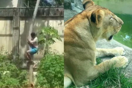 Design sem nome (18)