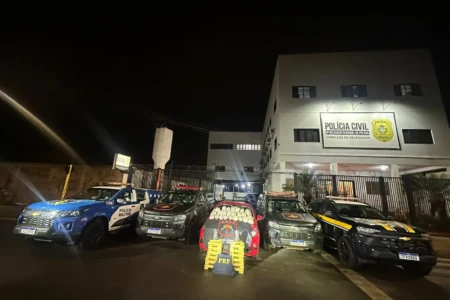 Imagem das drogas apreendidas