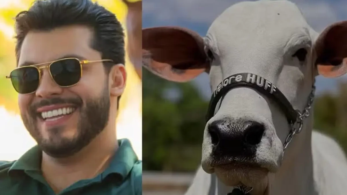 Murilo Huff esclarece compra milionária: 'É uma vaca, não paguei no Pix' Sertanejo adquiriu uma cota da vaca Donna FIV CIAV