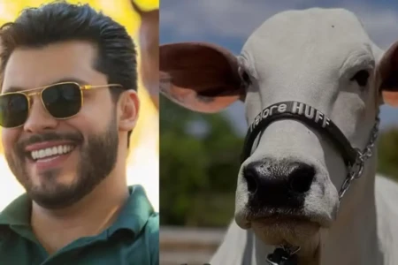 Murilo Huff esclarece compra milionária: 'É uma vaca, não paguei no Pix' Sertanejo adquiriu uma cota da vaca Donna FIV CIAV
