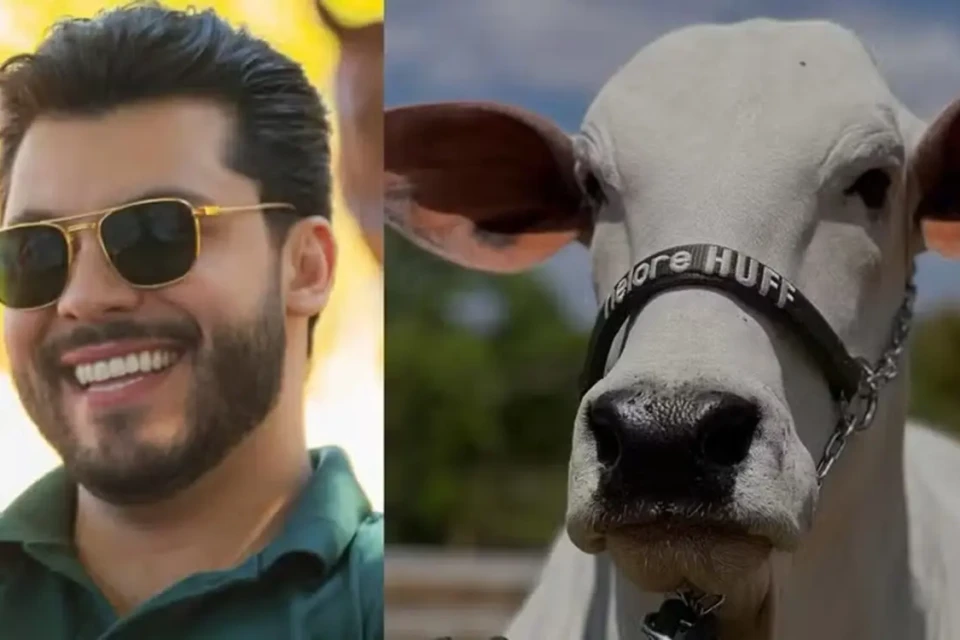 Murilo Huff esclarece compra milionária: 'É uma vaca, não paguei no Pix' Sertanejo adquiriu uma cota da vaca Donna FIV CIAV